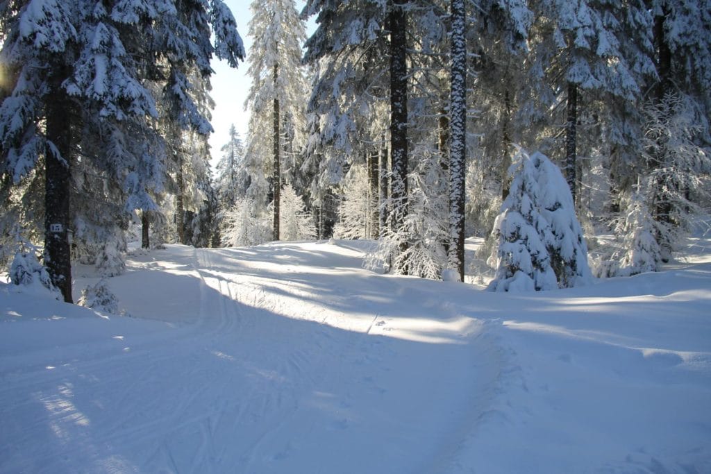 ski de fond à Gérardmer au domaine nordique des Bas-Rupts